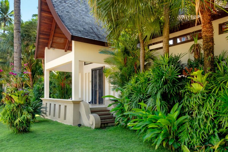 Bougainvillea Planting
